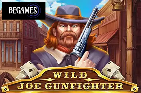 Wild Joe Gunfighter